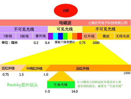 绱闀滃ご鎻掑浘00.jpg
